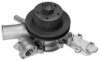 BUGATTI PA0263 Water Pump